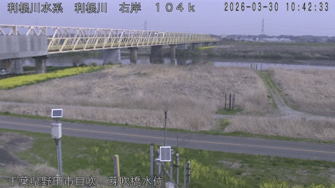 tonme2026033011_image