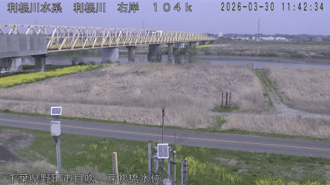 tonme2026033012_image