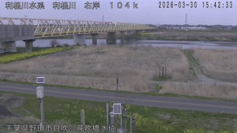 tonme2026033016_image