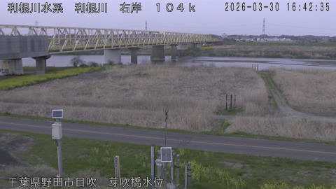 tonme2026033017_image