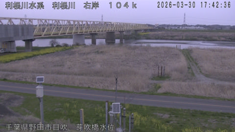 tonme2026033018_image