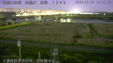 tonme2026033019_image