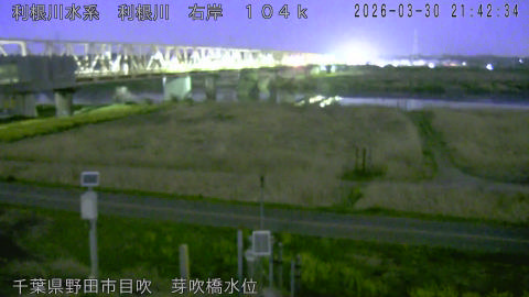 tonme2026033022_image