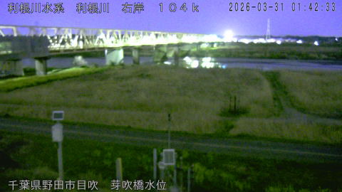 tonme2026033102_image