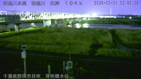 tonme2026033103_image