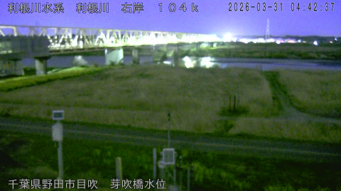 tonme2026033105_image