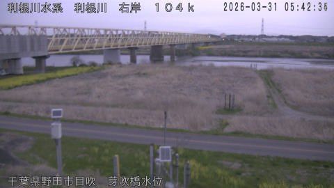 tonme2026033106_image