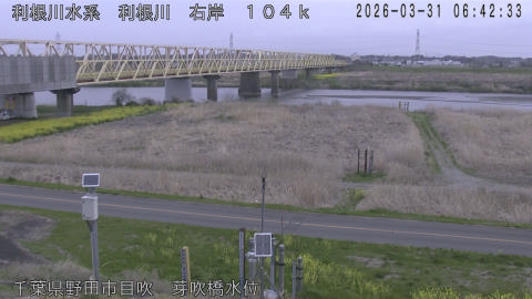 tonme2026033107_image