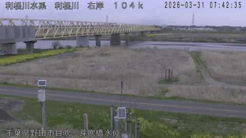 tonme2026033108_image