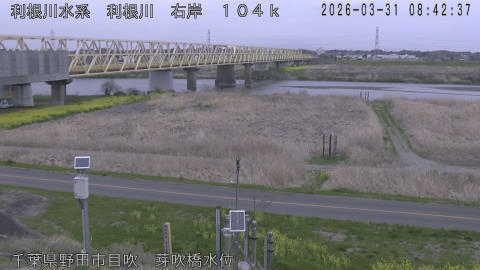 tonme2026033109_image