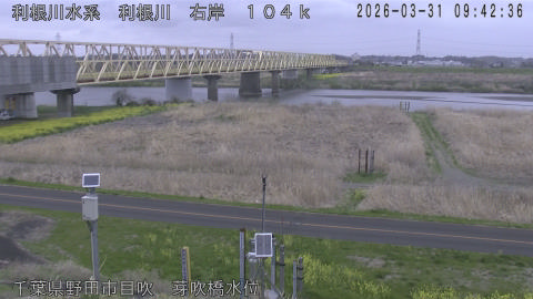 tonme2026033110_image