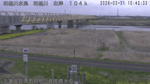 tonme2026033111_image