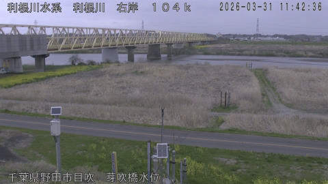 tonme2026033112_image