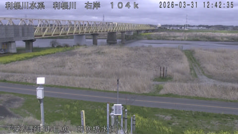 tonme2026033113_image