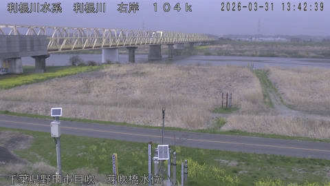 tonme2026033114_image