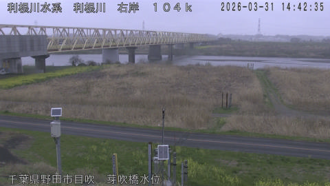 tonme2026033115_image