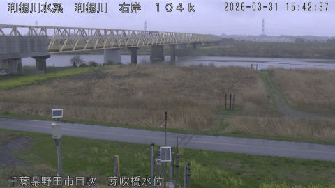 tonme2026033116_image