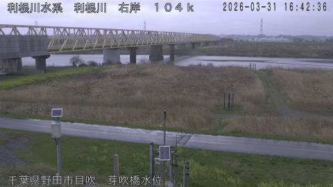 tonme2026033117_image