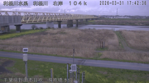 tonme2026033118_image