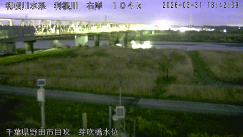 tonme2026033119_image