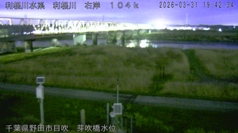 tonme2026033120_image