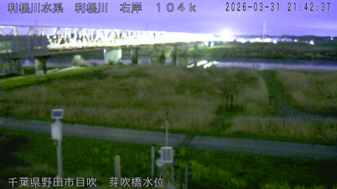 tonme2026033122_image