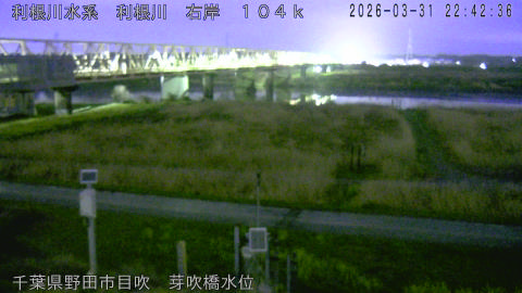 tonme2026033123_image