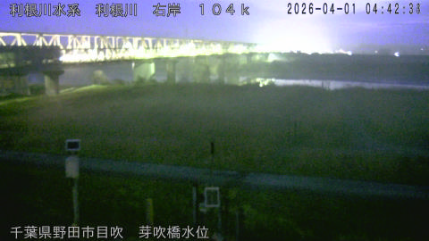 tonme2026040105_image