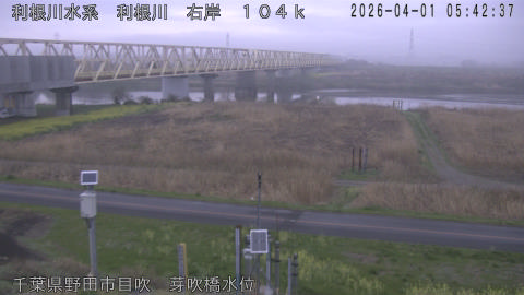 tonme2026040106_image