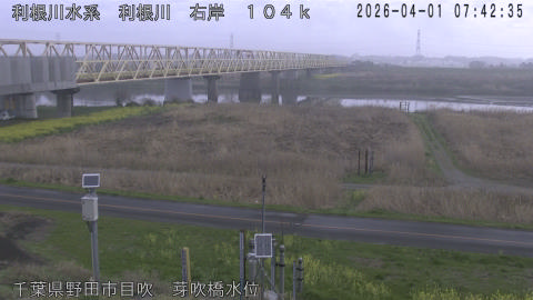 tonme2026040108_image