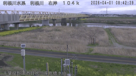 tonme2026040109_image