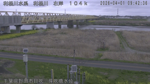 tonme2026040110_image