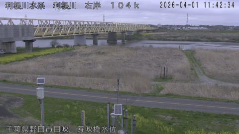 tonme2026040112_image