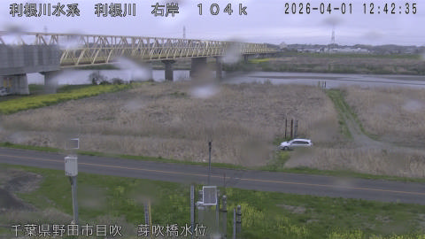 tonme2026040113_image