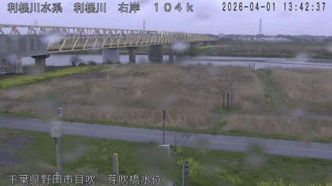 tonme2026040114_image