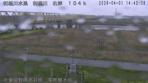 tonme2026040115_image