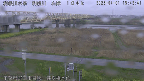 tonme2026040116_image