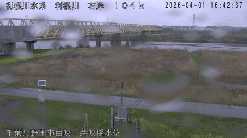 tonme2026040117_image