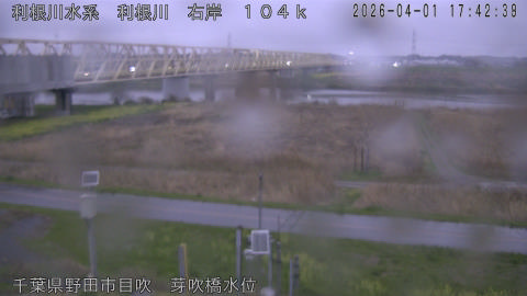 tonme2026040118_image