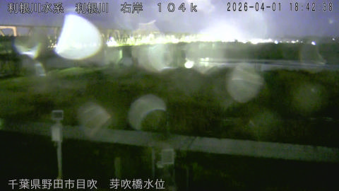 tonme2026040119_image