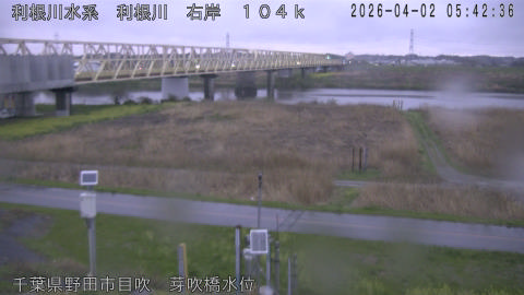 tonme2026040206_image