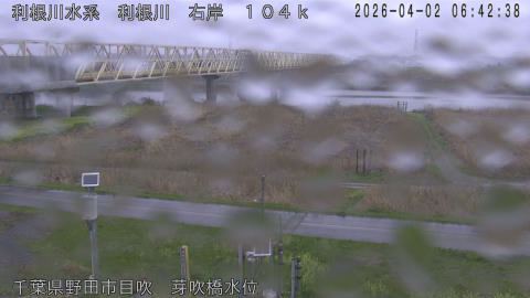 tonme2026040207_image