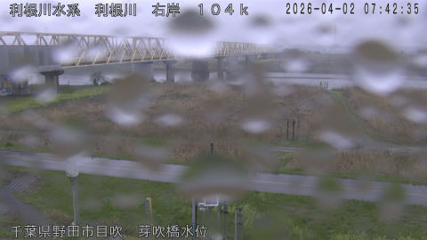 tonme2026040208_image