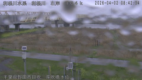 tonme2026040209_image