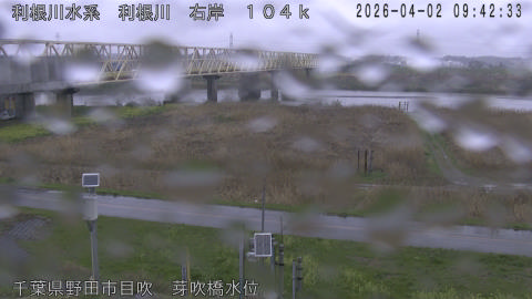 tonme2026040210_image