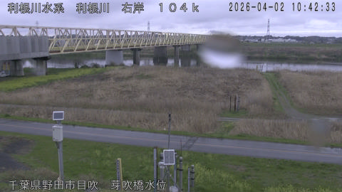 tonme2026040211_image