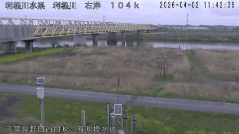 tonme2026040212_image