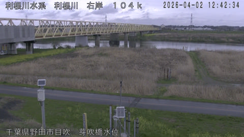 tonme2026040213_image