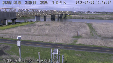 tonme2026040214_image