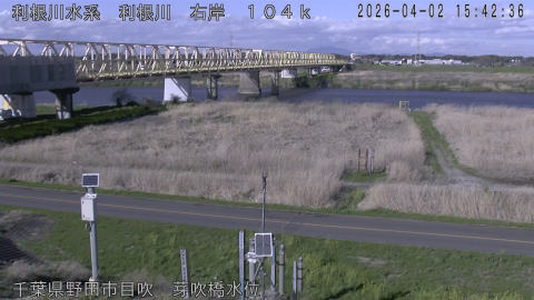 tonme2026040216_image